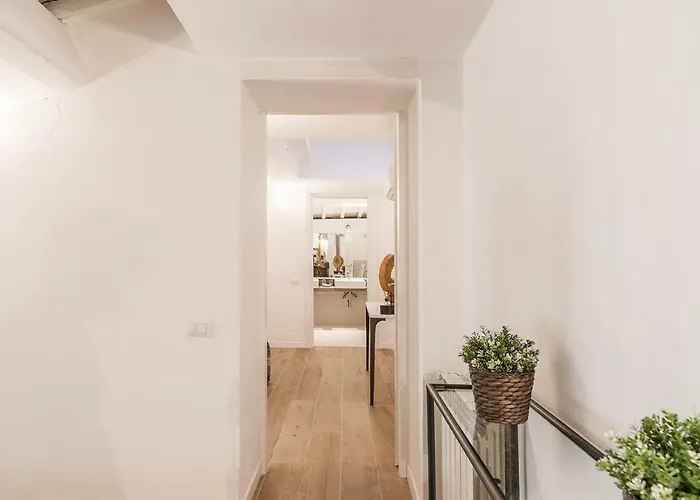 Thebestinrome Orbitelli *